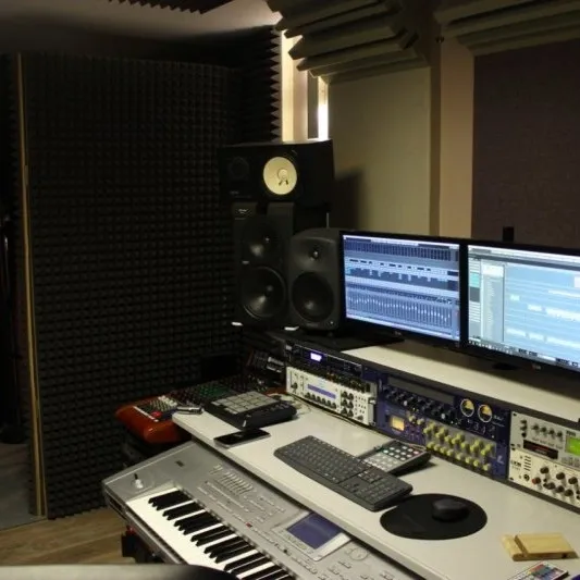 Akustische Behandlung des Avocal Music Studios